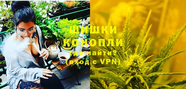 ПСИЛОЦИБИНОВЫЕ ГРИБЫ Пестово
