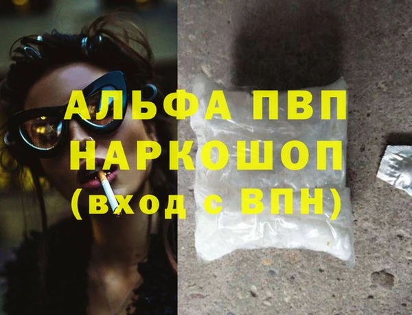 стаф Заводоуковск
