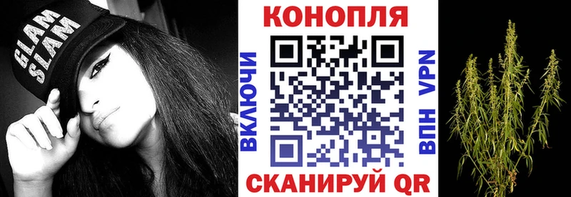 магазин продажи наркотиков  Суровикино  OMG ССЫЛКА  МАРИХУАНА ГИДРОПОН 